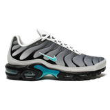Nike AIR MAX PLUS TN x One Block Down Clear Fog