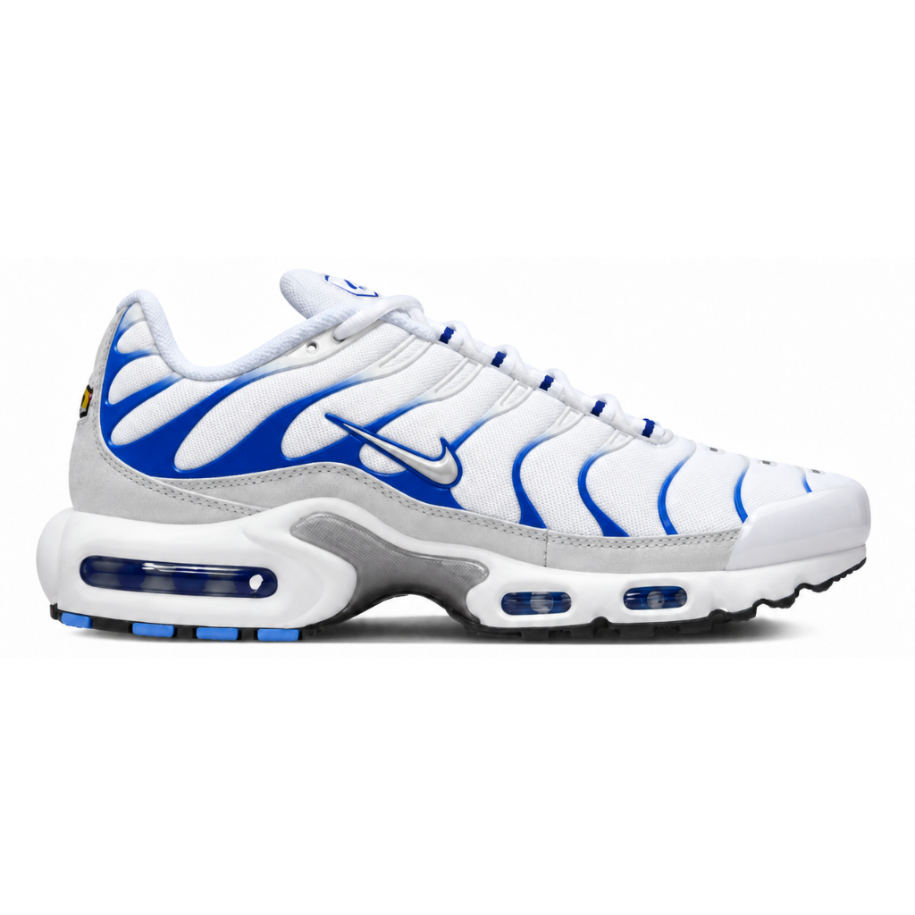 Nike Air Max Plus TN Blue Gradient