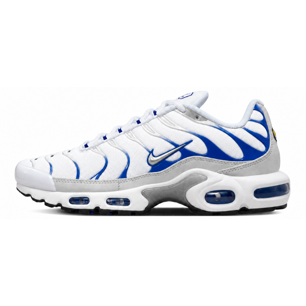 Nike Air Max Plus TN Blue Gradient