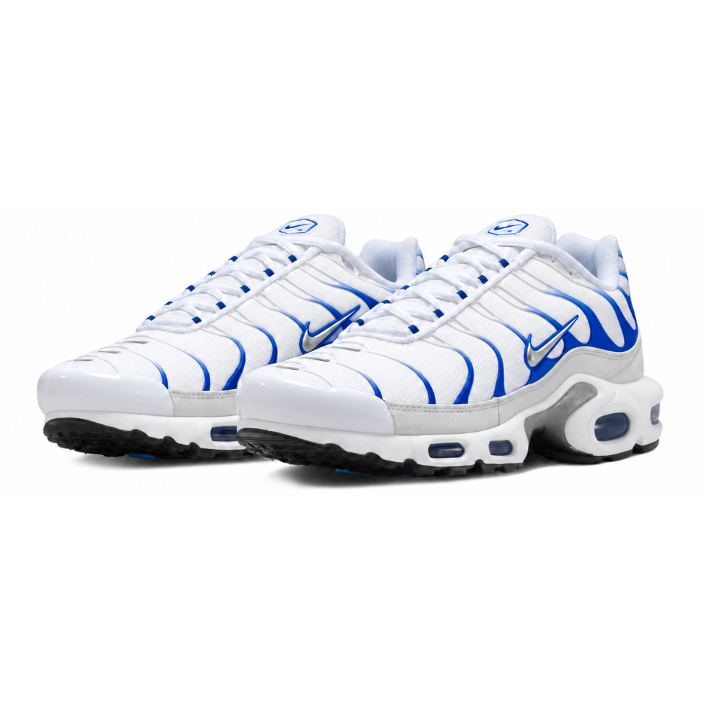 Nike Air Max Plus TN Blue Gradient