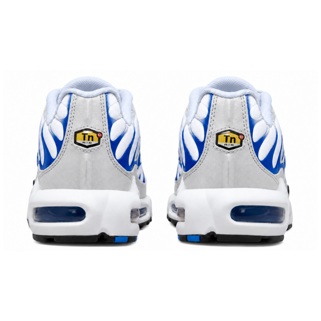 Nike Air Max Plus TN Blue Gradient