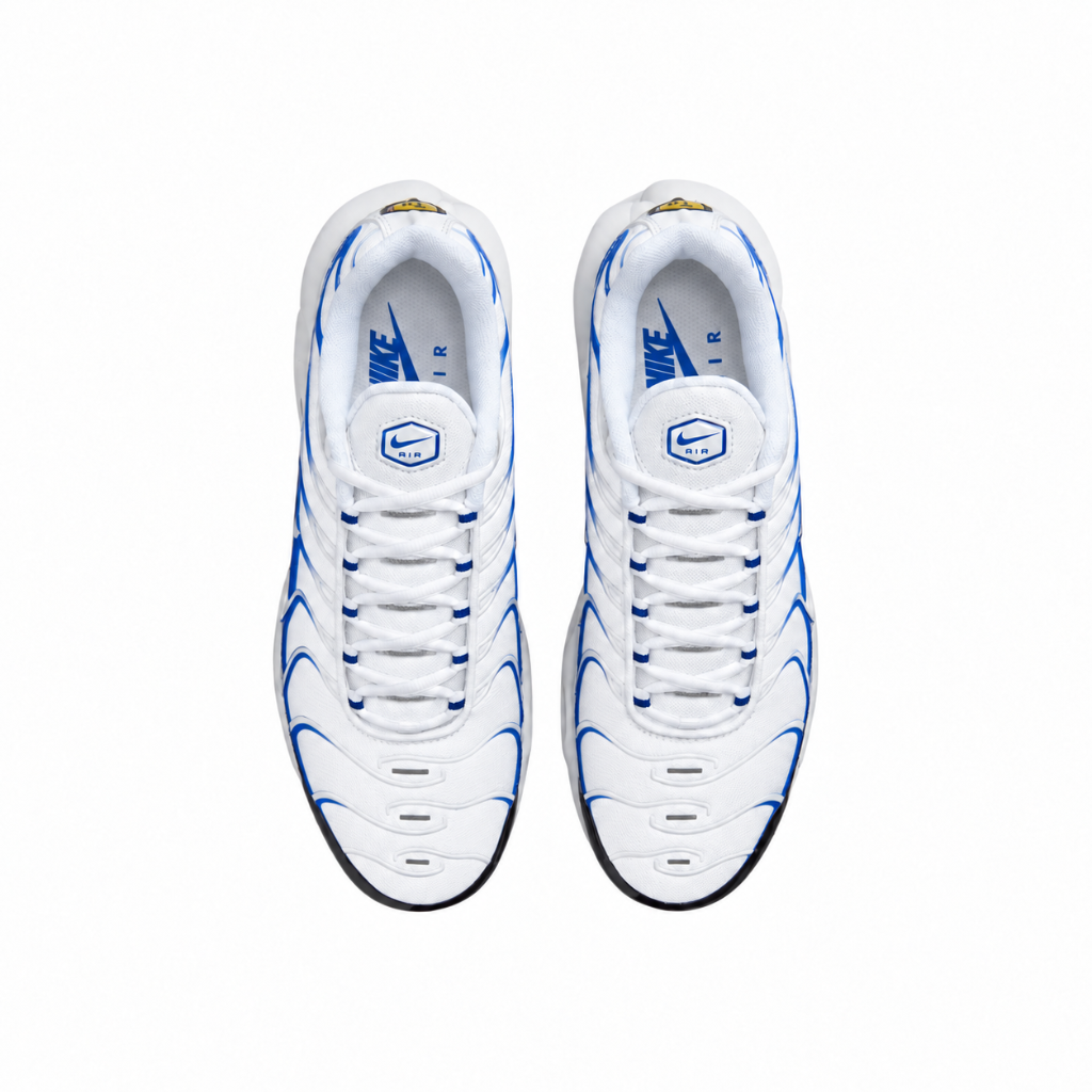 Nike Air Max Plus TN Blue Gradient