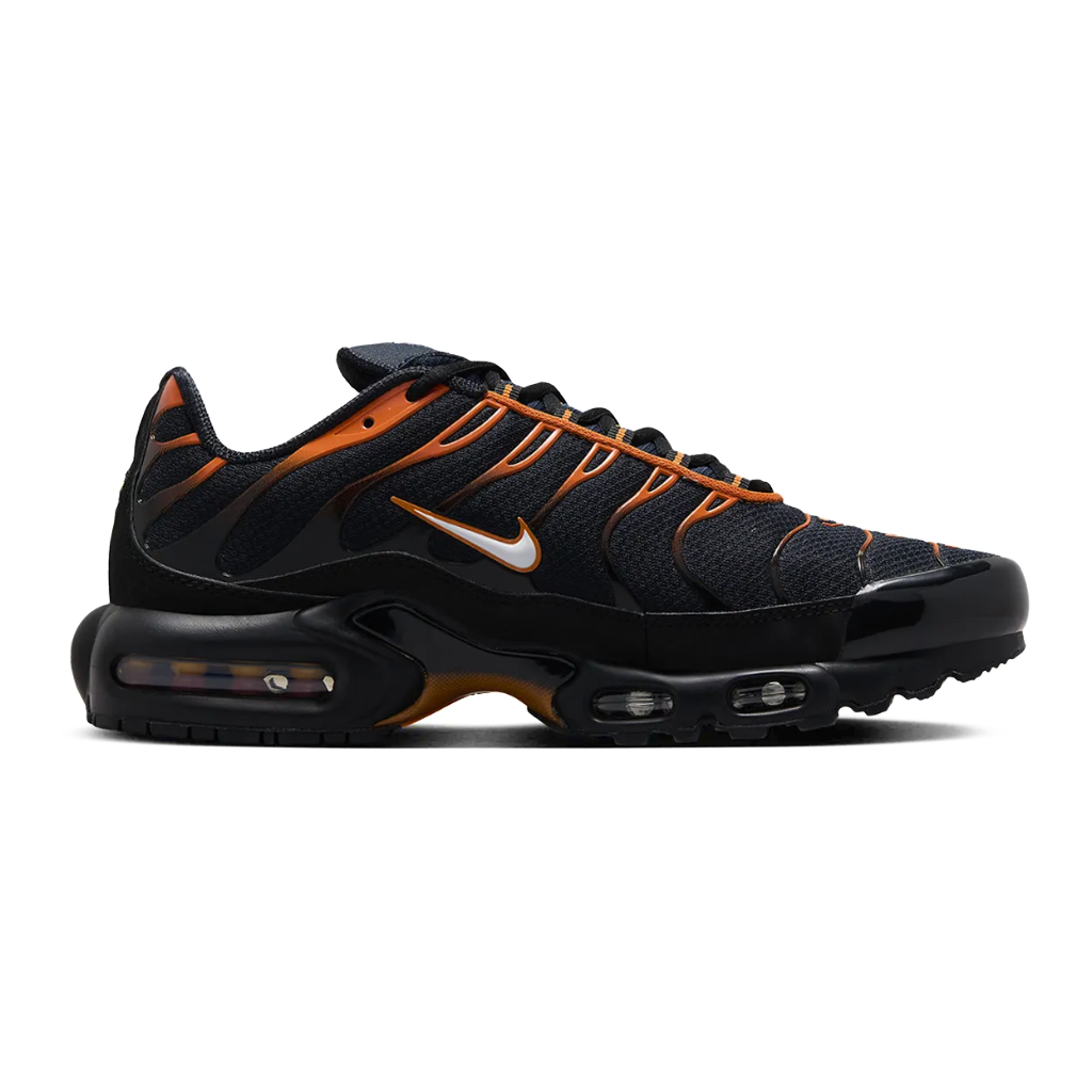 Nike Air Max Plus TN Dark Obsidian
