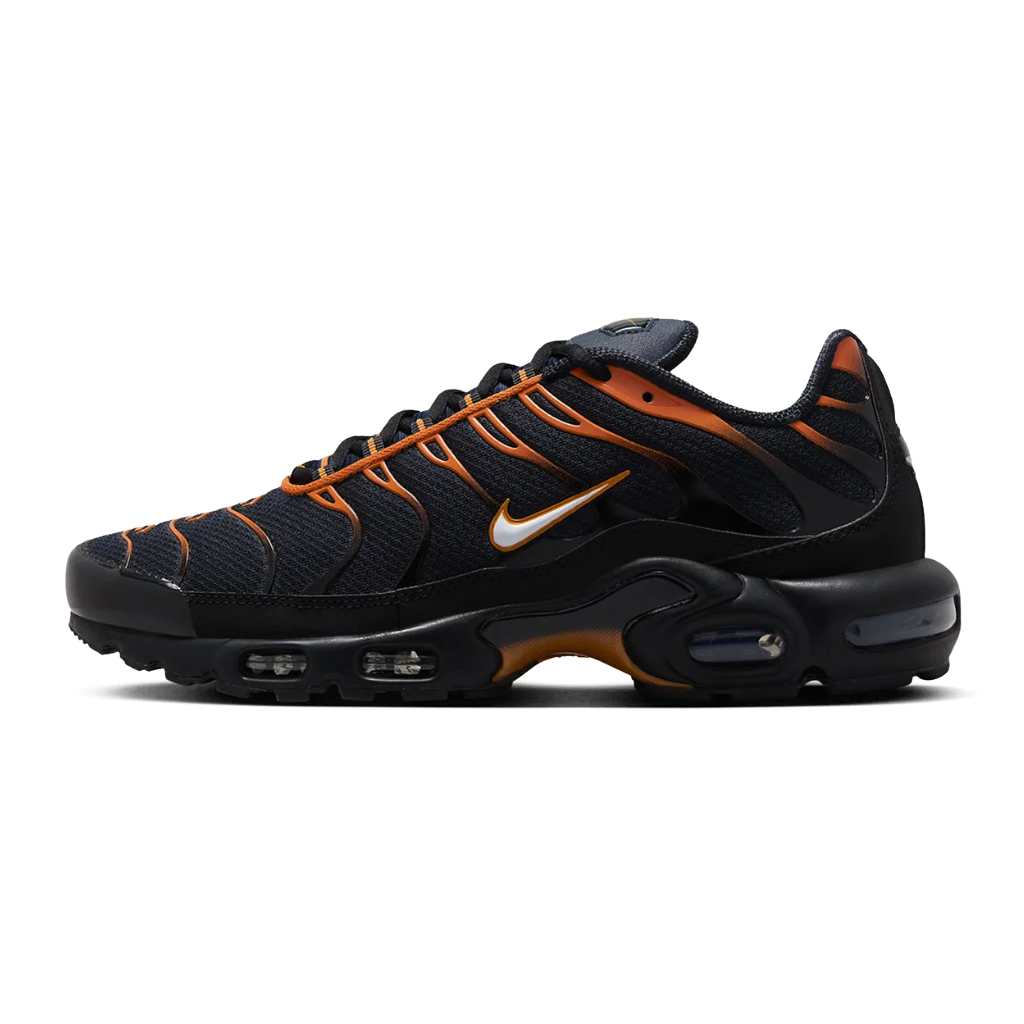 Nike Air Max Plus TN Dark Obsidian - Slika 2